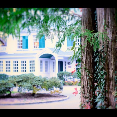 Photo 5 from Friends of Nassau County Bailey Arboretum