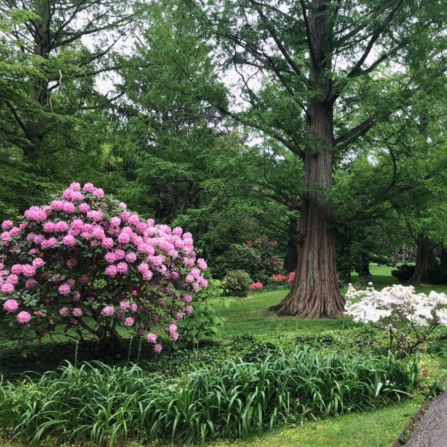 Photo 6 from Friends of Nassau County Bailey Arboretum
