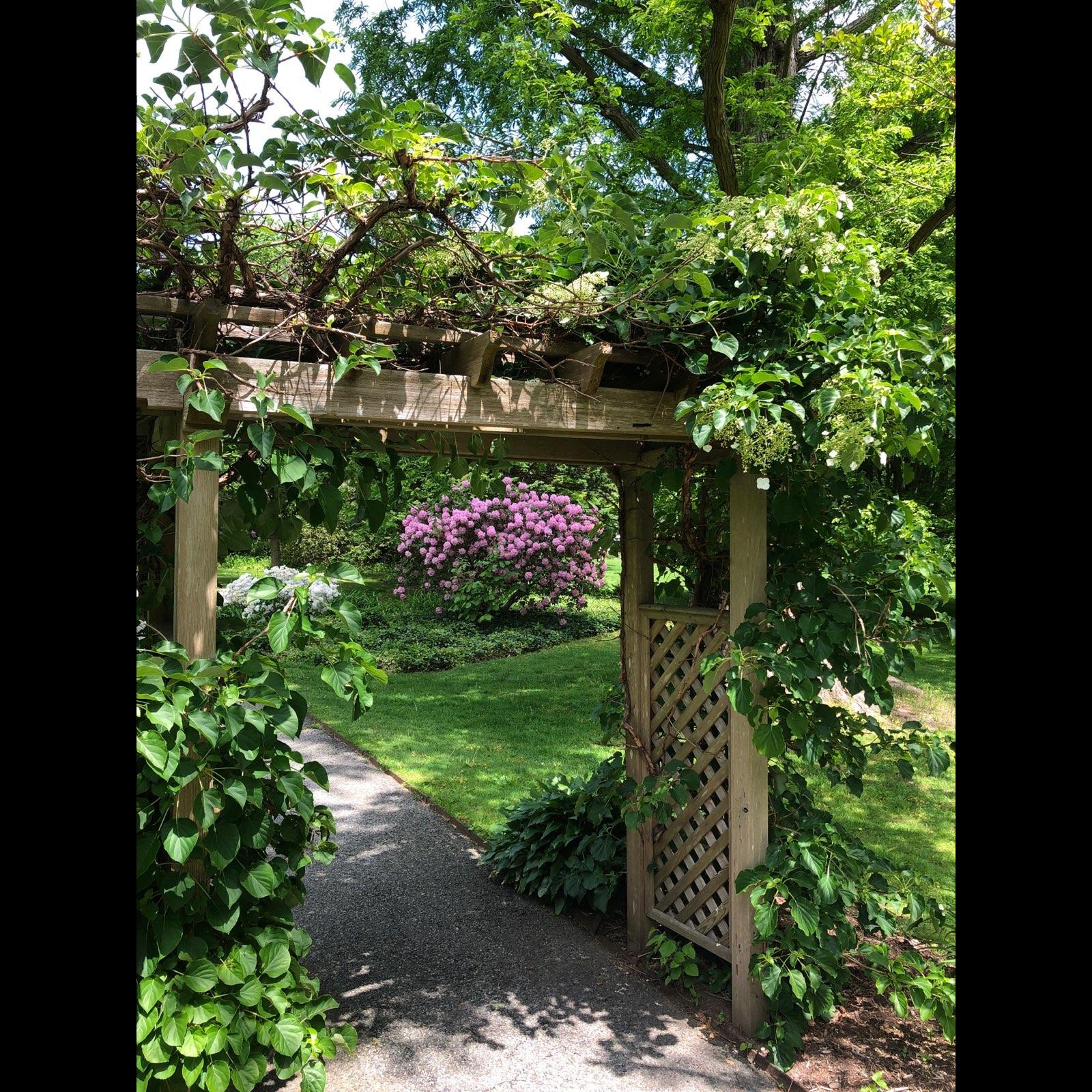 Photo 7 from Friends of Nassau County Bailey Arboretum