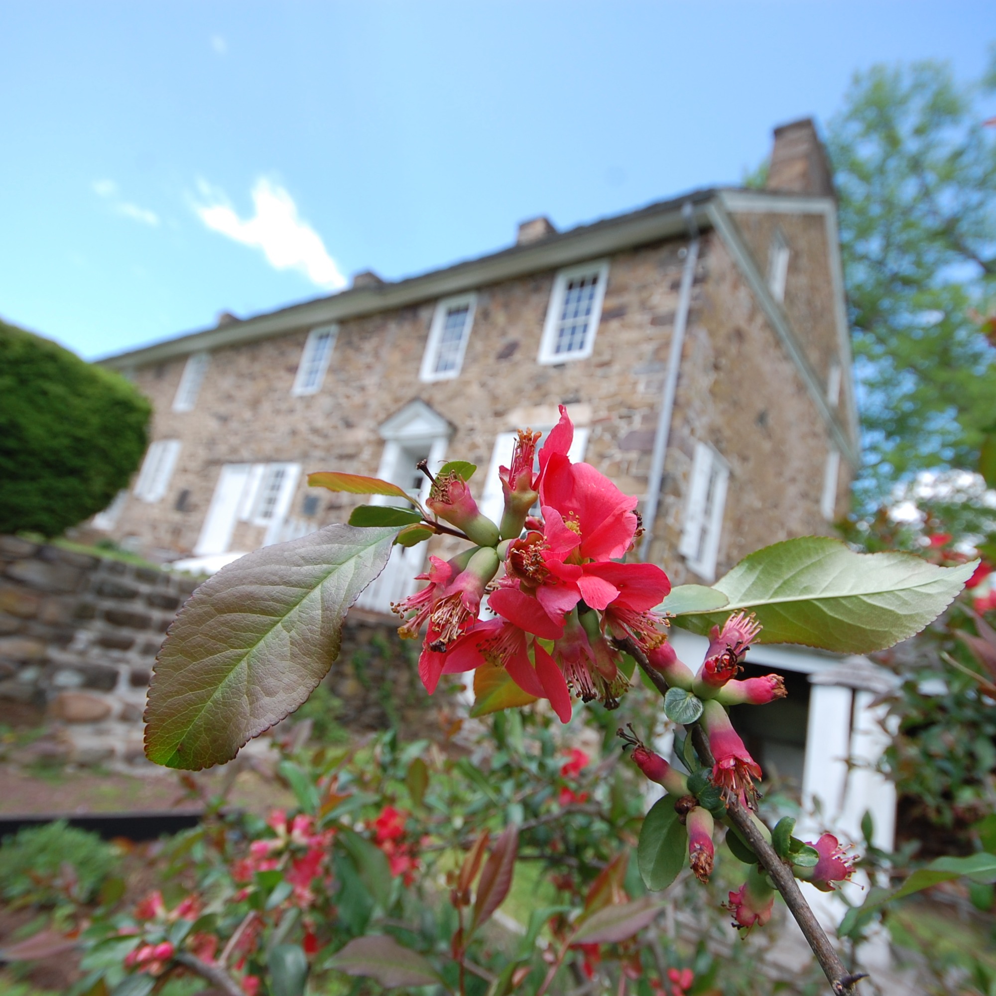 Photo 5 from Friends of Washington Crossing Park