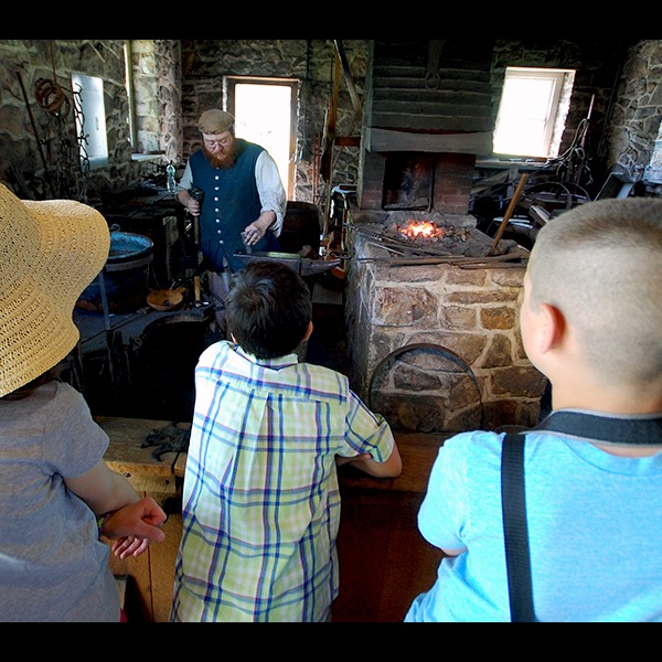 Photo 7 from Friends of Washington Crossing Park