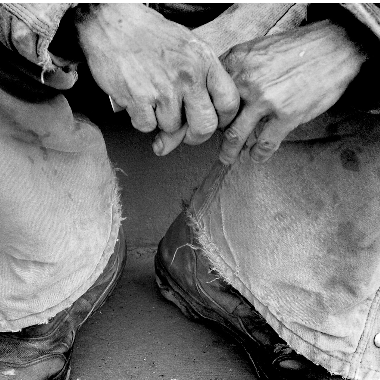 TENNESSEE VALLEY COALITION TO END HOMELESSNESS