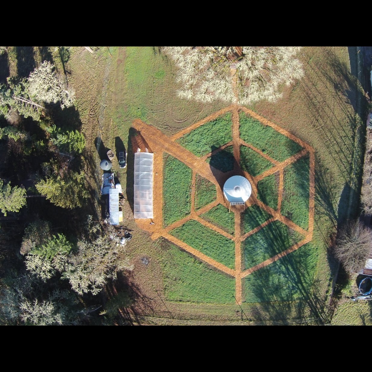 Photo 8 from Growing a Future (Fern Ridge School District School Farm)