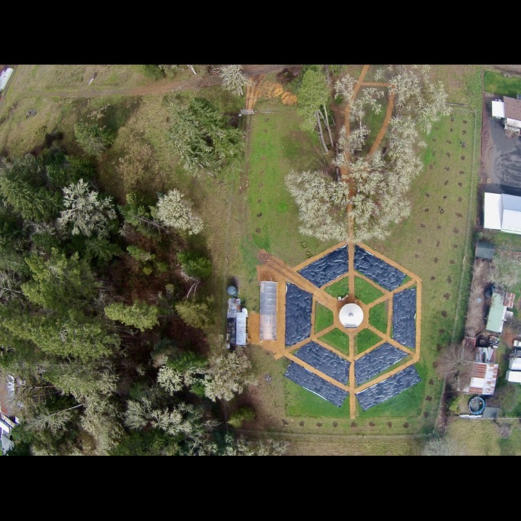 Photo 9 from Growing a Future (Fern Ridge School District School Farm)