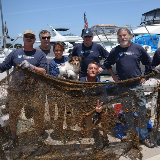 Photo 5 from Ocean Defenders Alliance