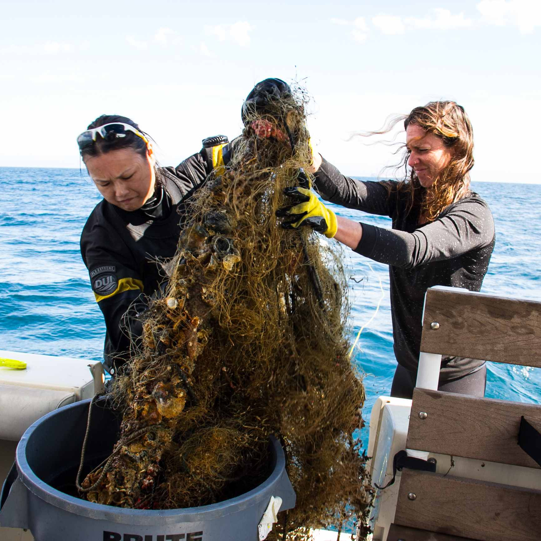 Photo 8 from Ocean Defenders Alliance