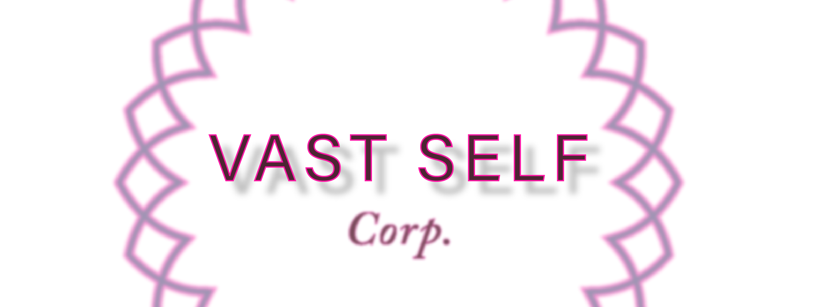Vast Self Corporation