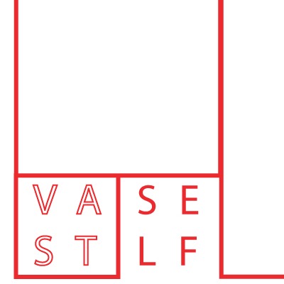 Vast Self Corporation