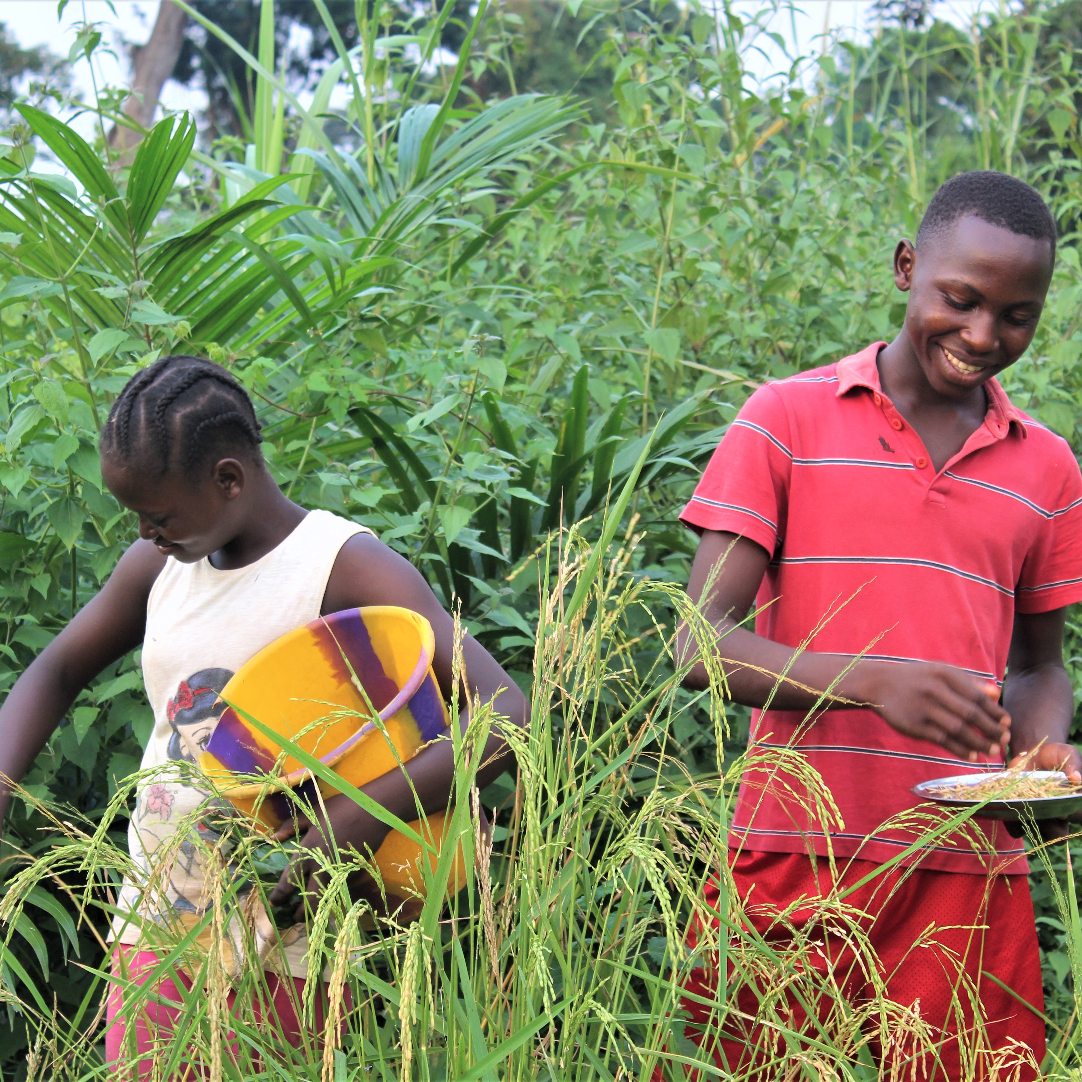 Photo 7 from The Lobiko Initiative