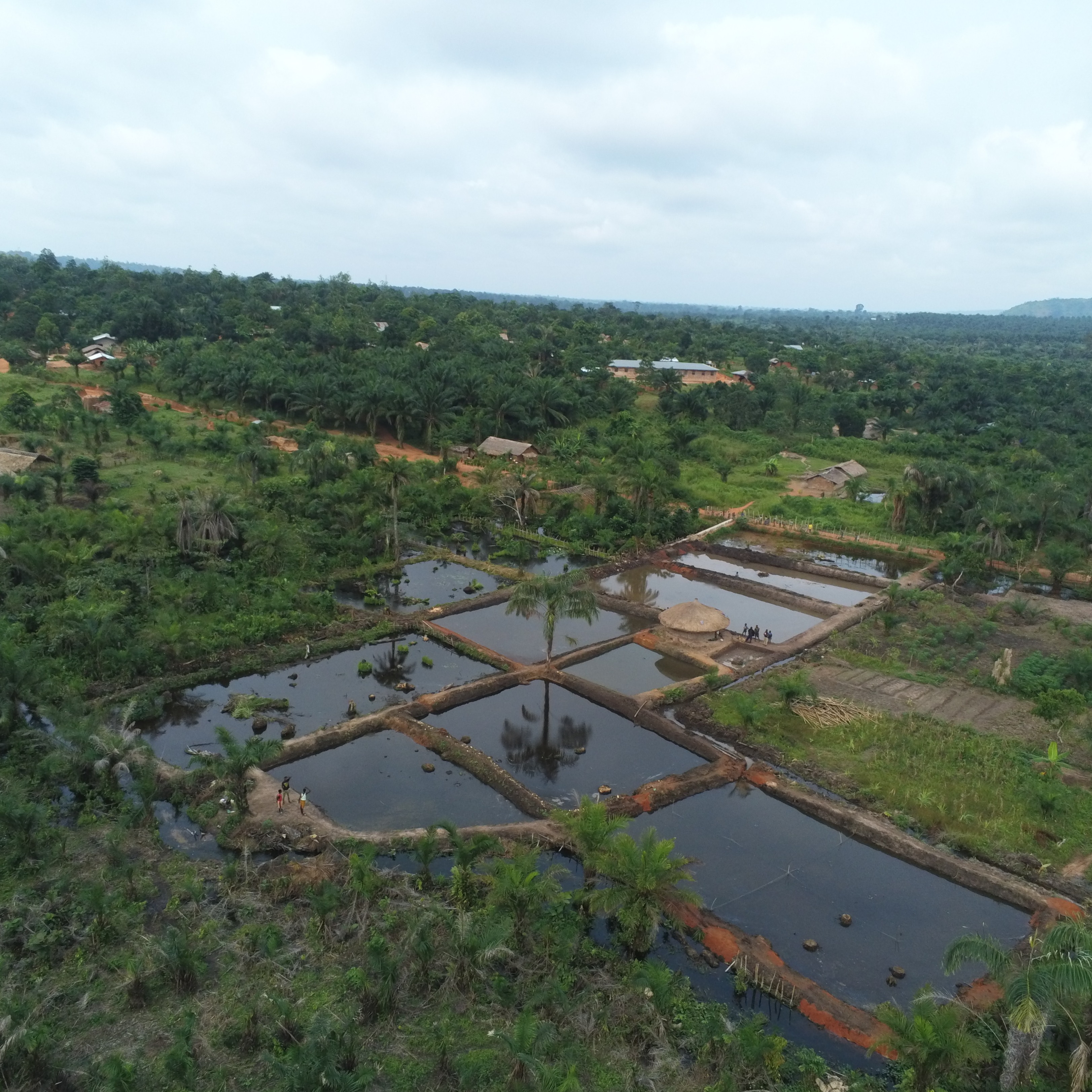 Photo 9 from The Lobiko Initiative