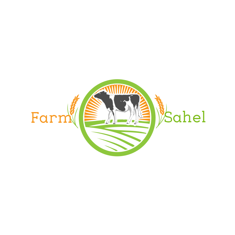 FARMSAHEL INC