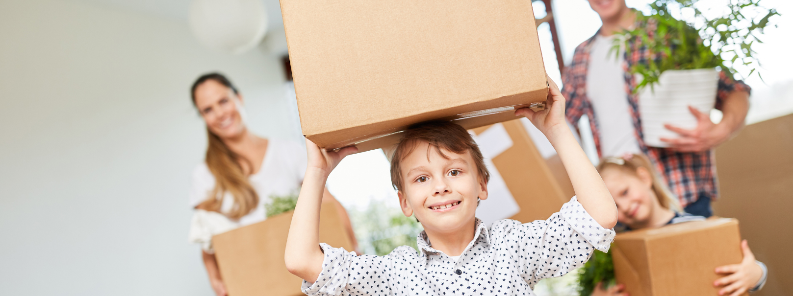 MUSTARD SEED OF CENTRAL INDIANA INC cover