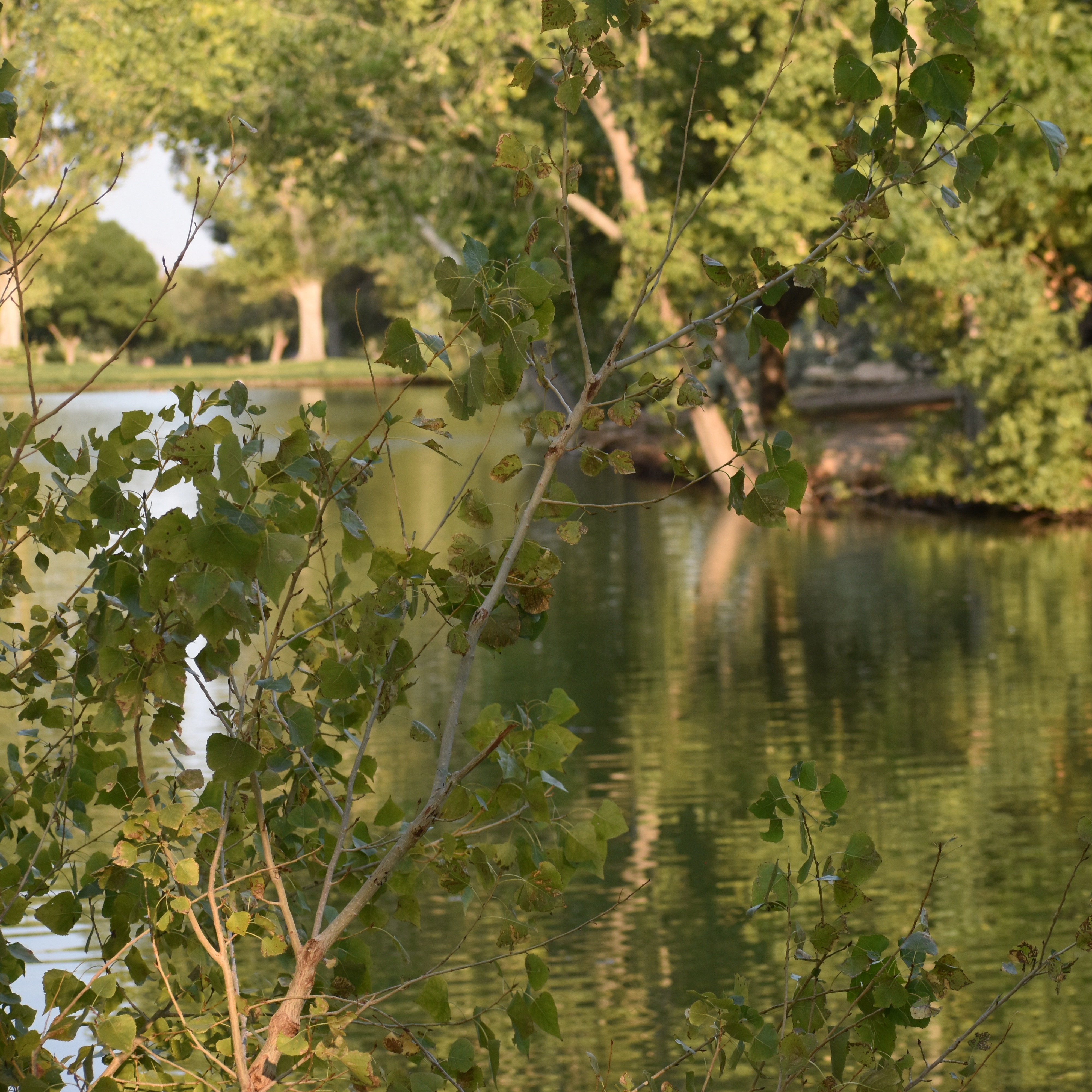 Photo 5 from Christ Commanded