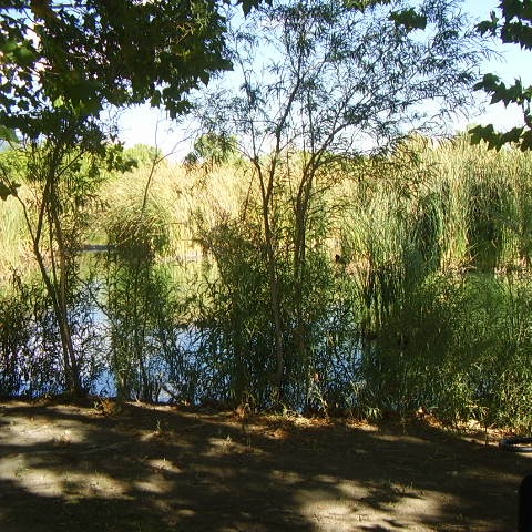 Photo 8 from Christ Commanded