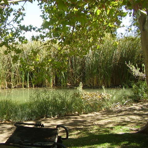 Photo 9 from Christ Commanded