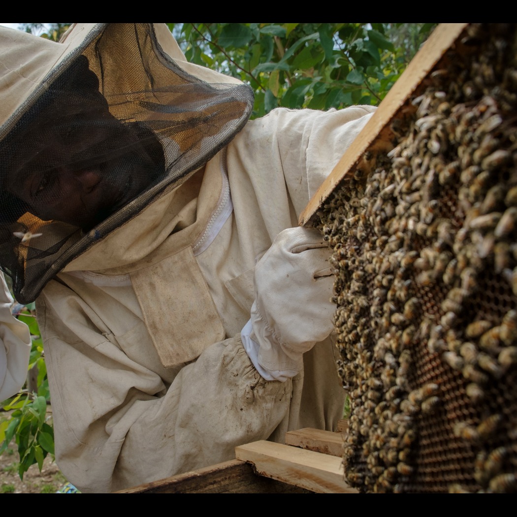 Photo 2 from Azizi Life Inc