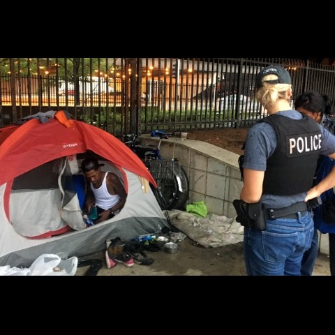 Photo 9 from CHICAGO TINY HOUSE