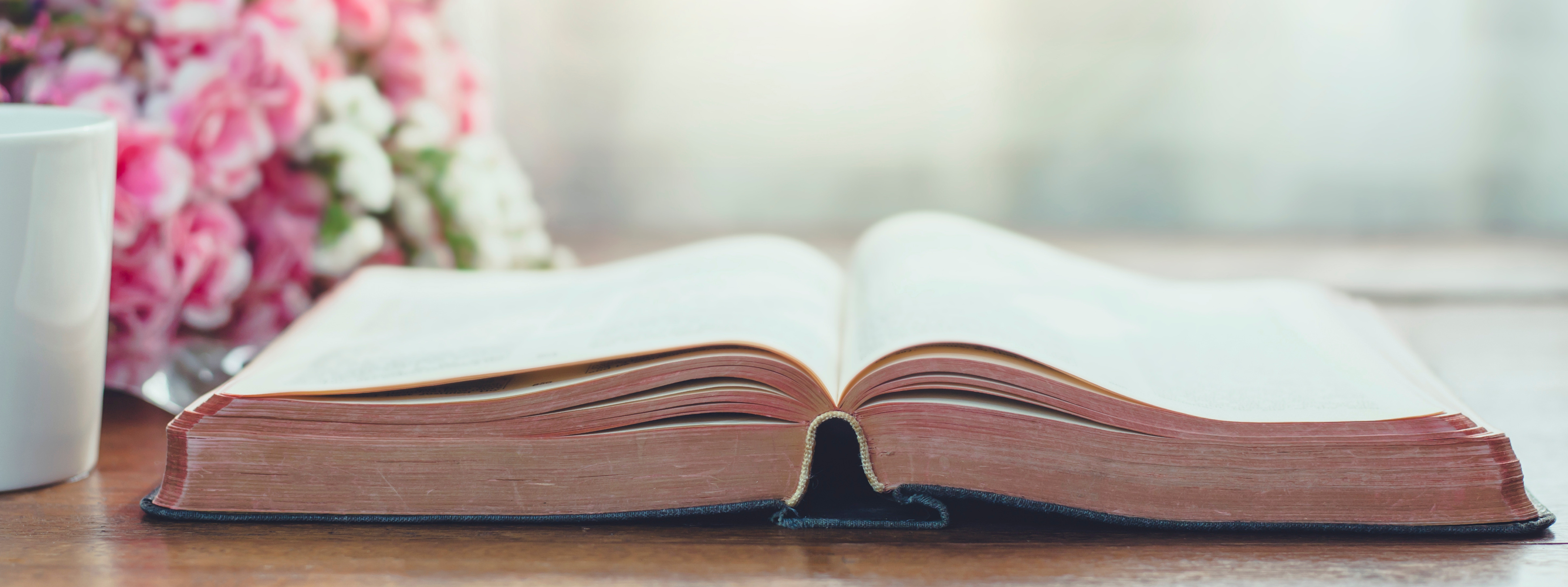 Discovering Truth Ministries