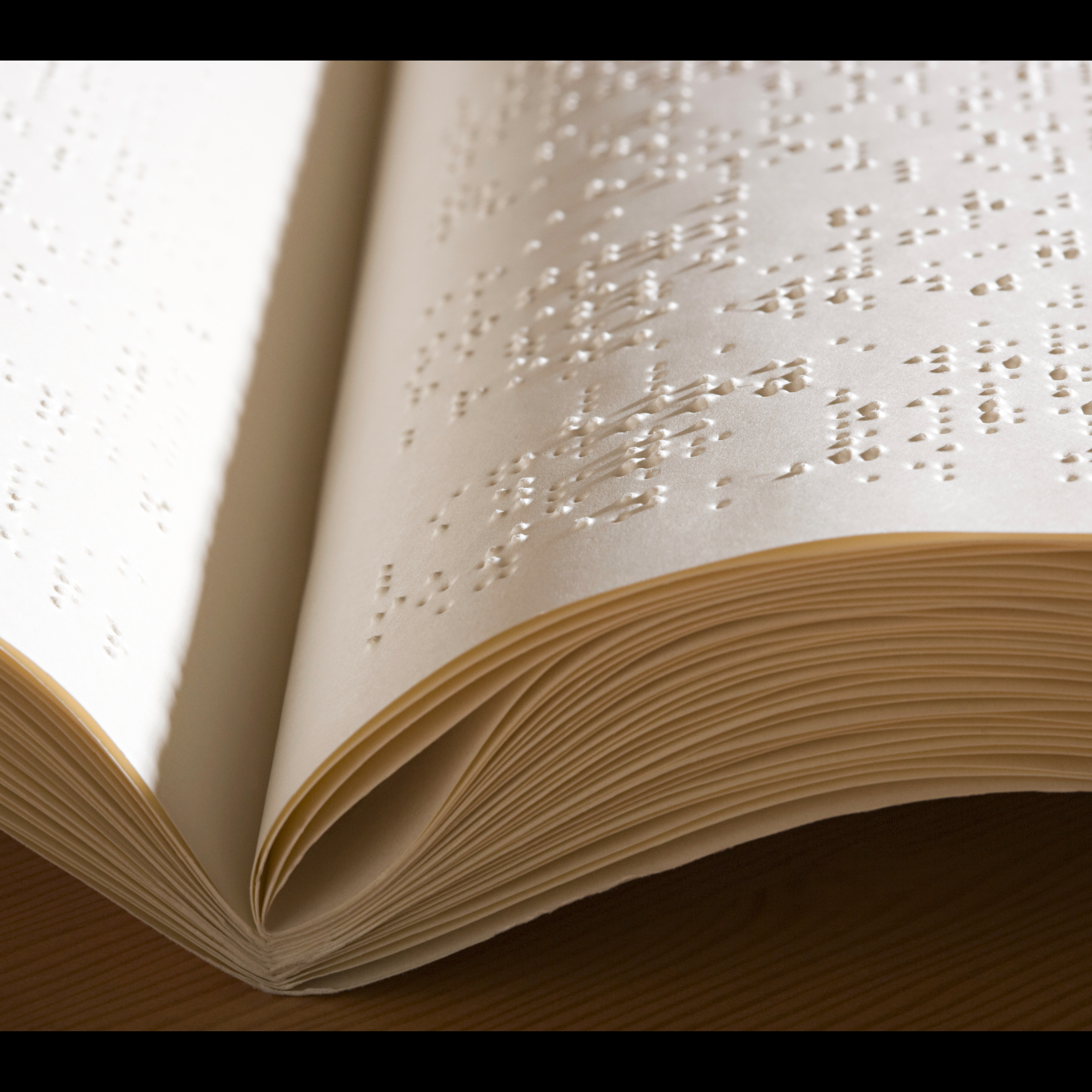 Photo 5 from Handid Braille Services