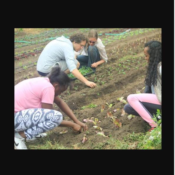 Photo 2 from Spirit Awakening Foundation