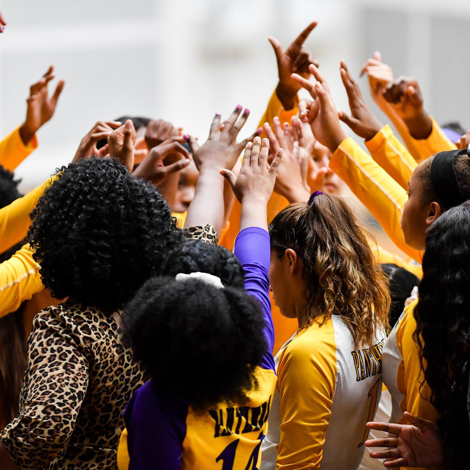 Photo 9 from Prairie View A&M Foundation