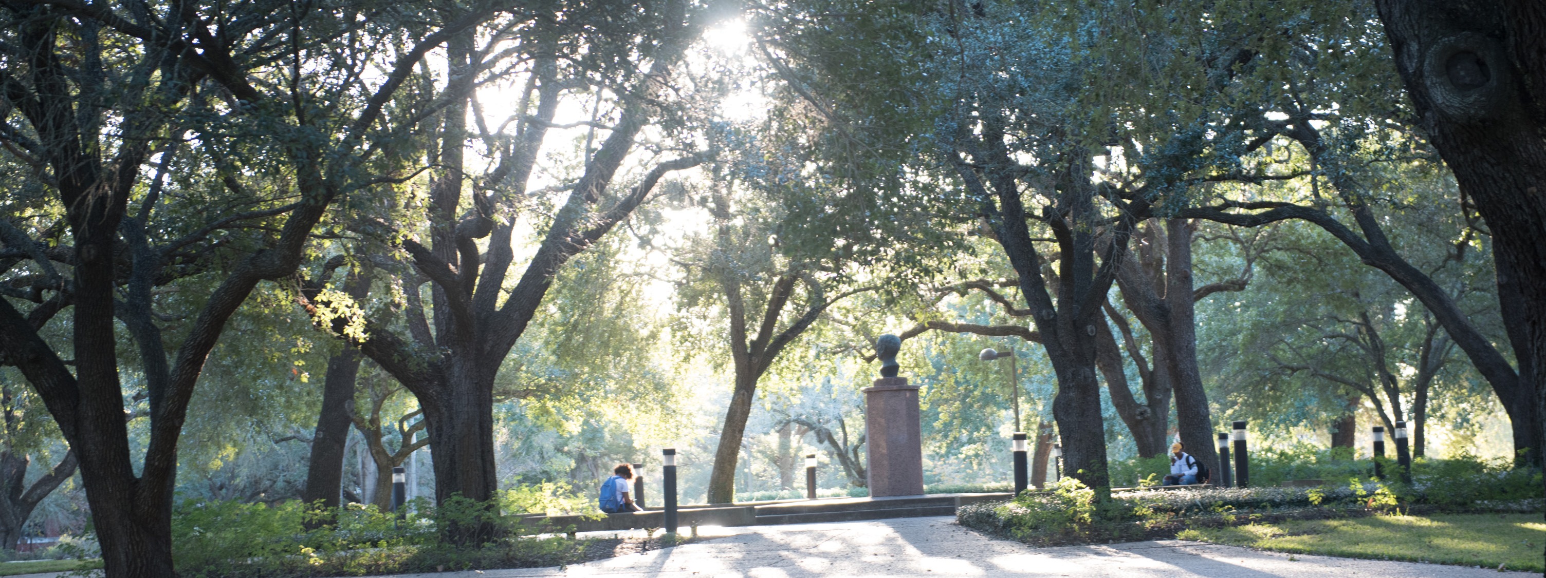 Prairie View A&M Foundation