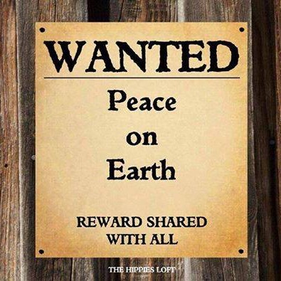 Photo 5 from PeaceNow.com