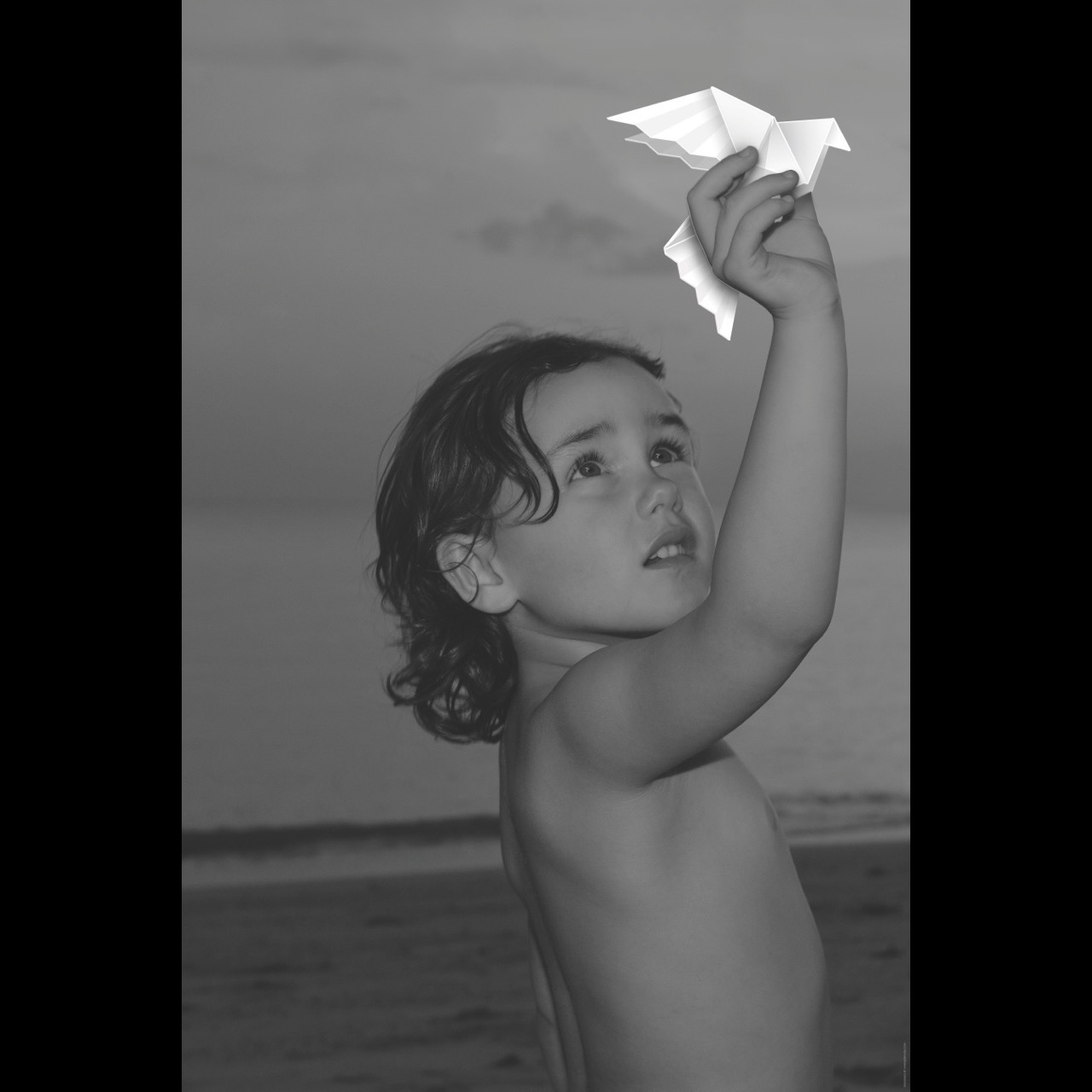 Photo 8 from PeaceNow.com