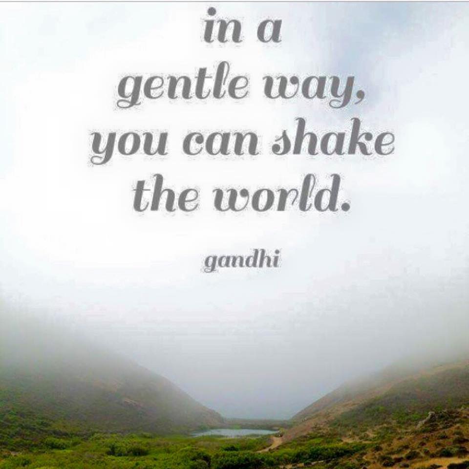 Photo 9 from PeaceNow.com