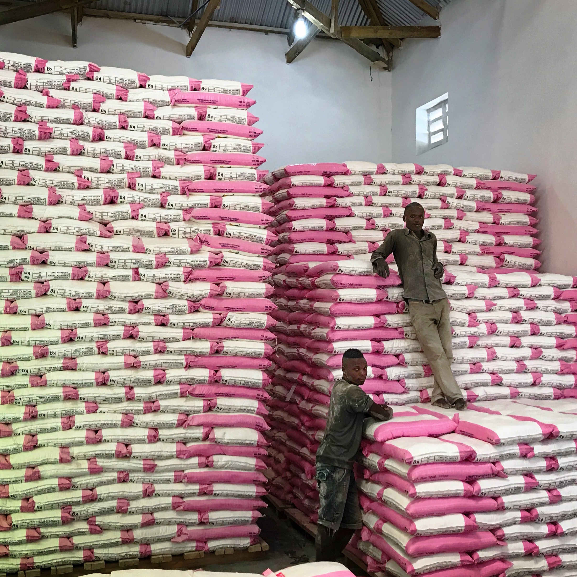 Photo 4 from Sanku-Project Healthy Children