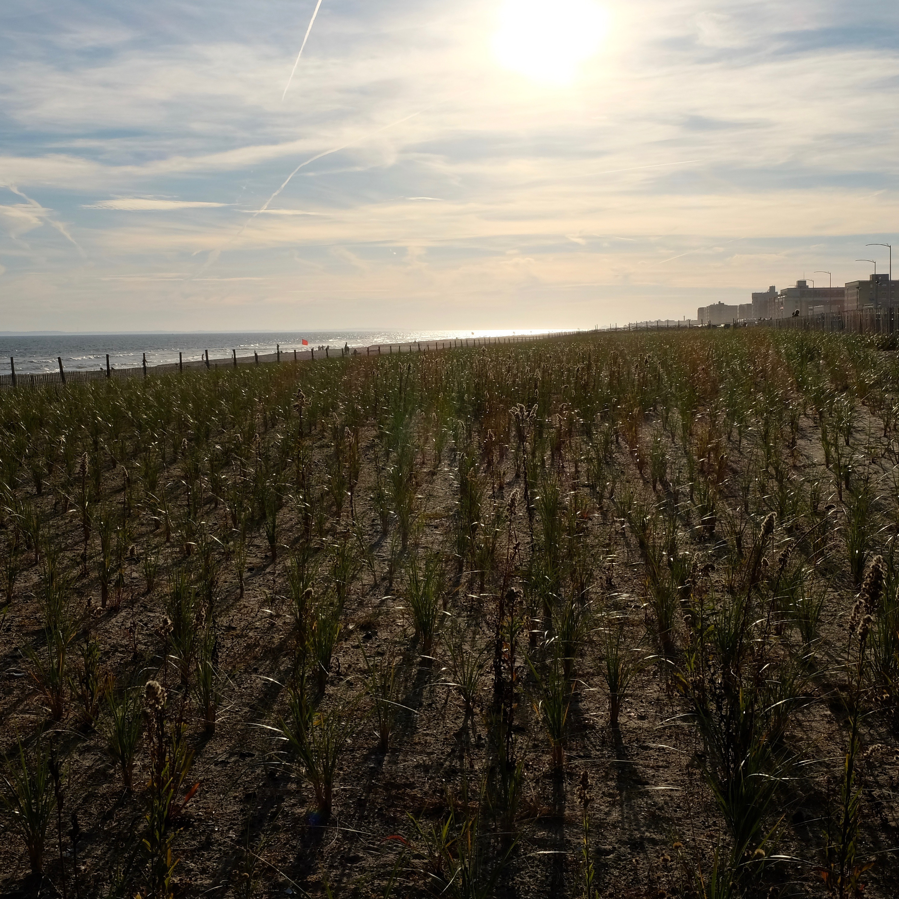 Photo 3 from Impact Human