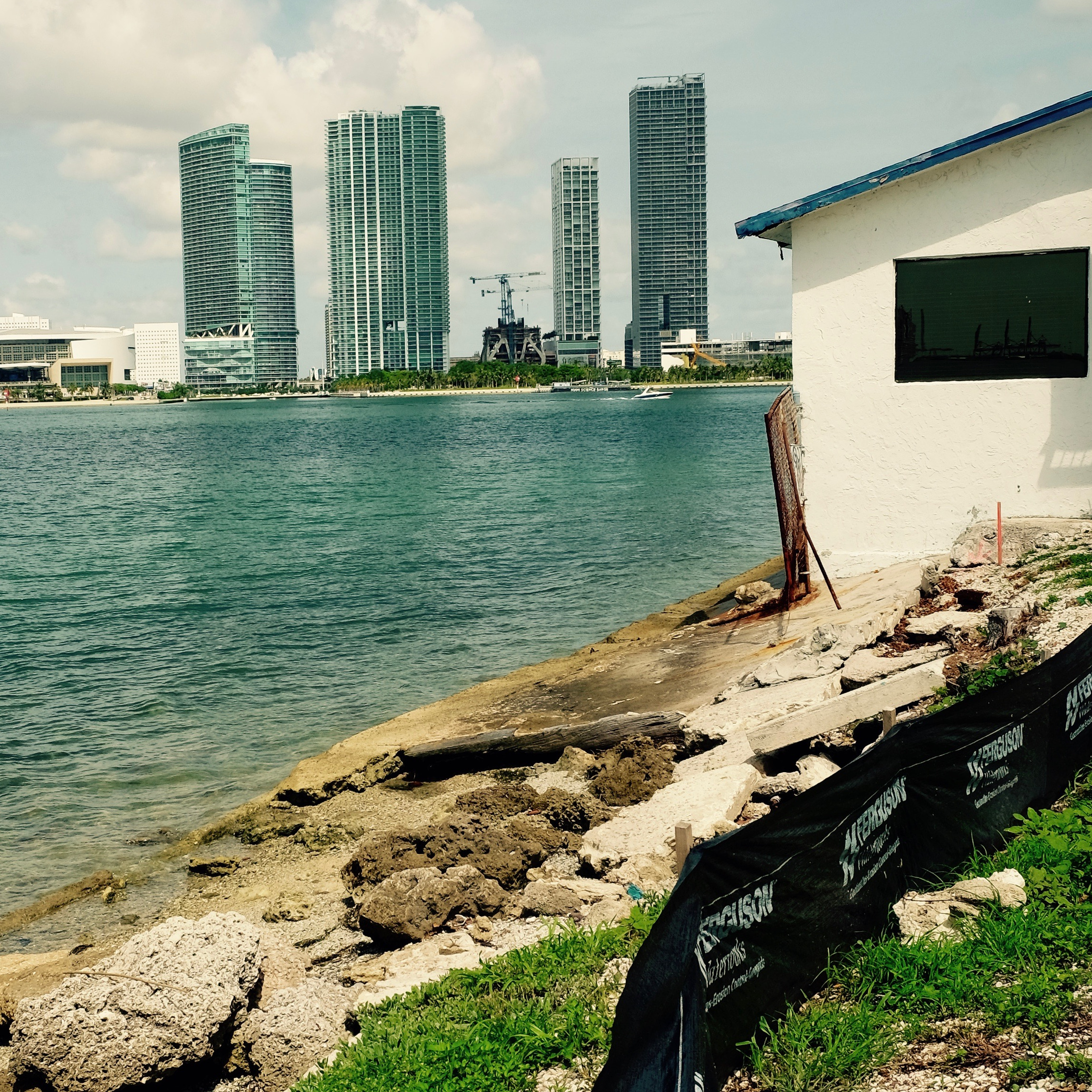 Photo 5 from Impact Human