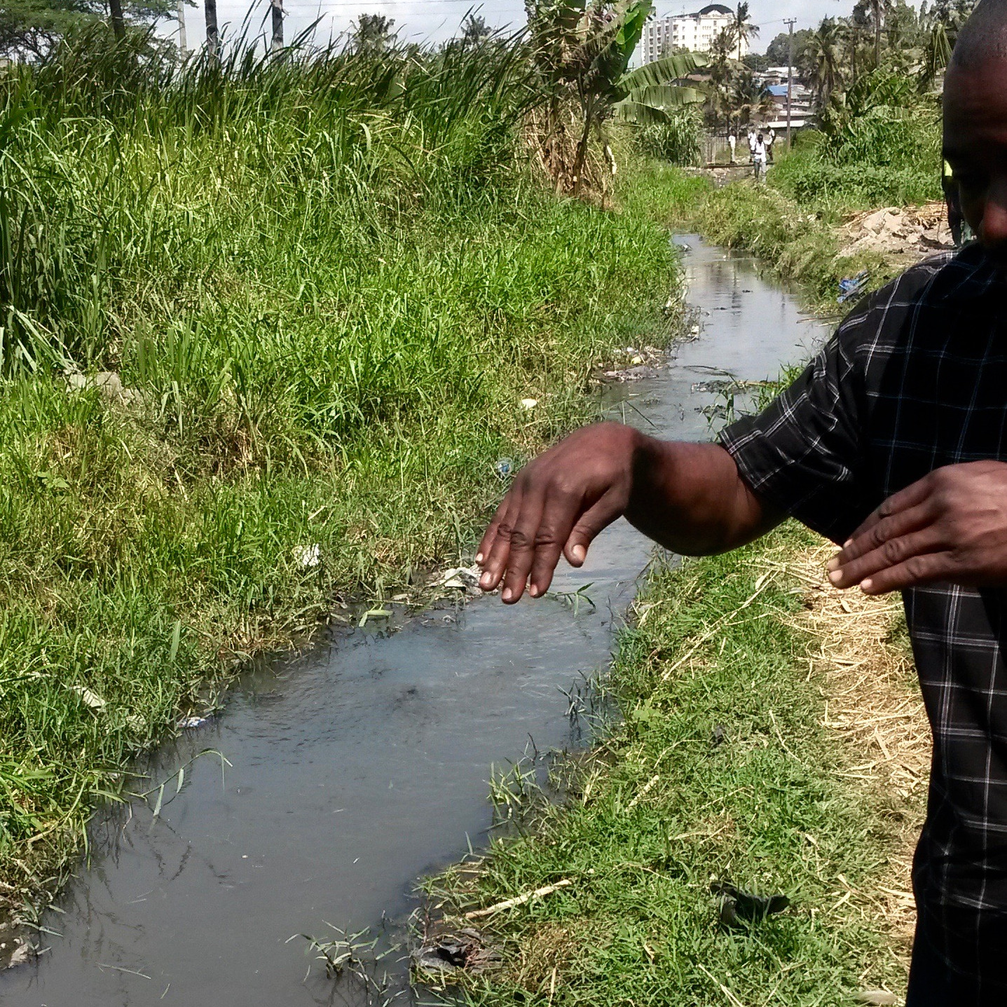 Photo 6 from Impact Human