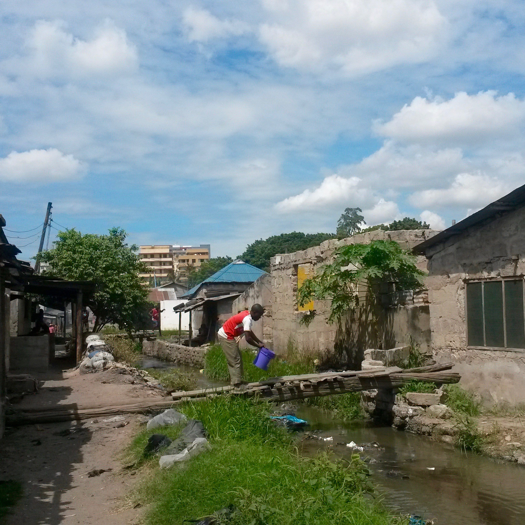 Photo 7 from Impact Human