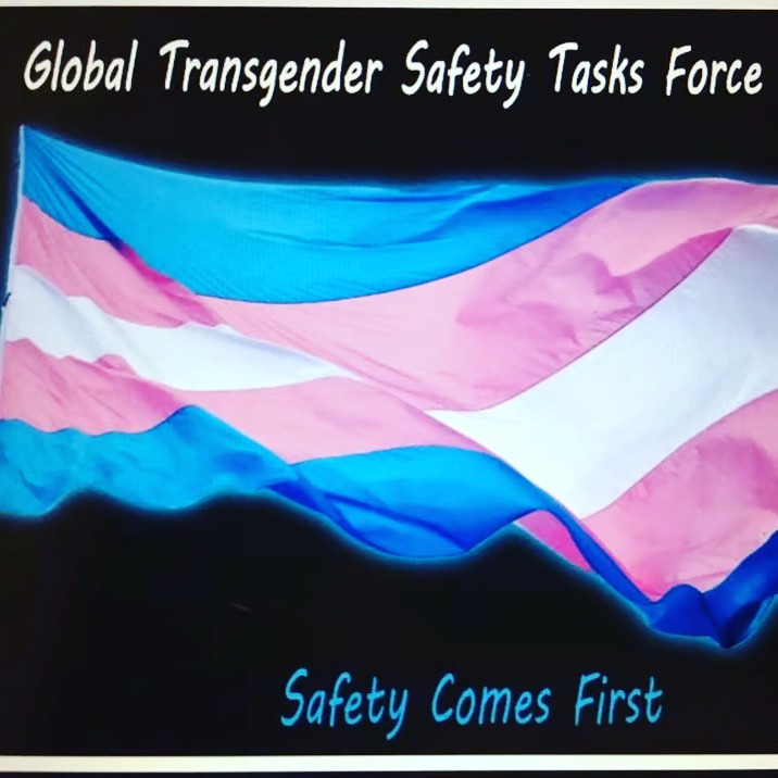 Photo 10 from Global Transgender Safety Tasks Force USA Inc