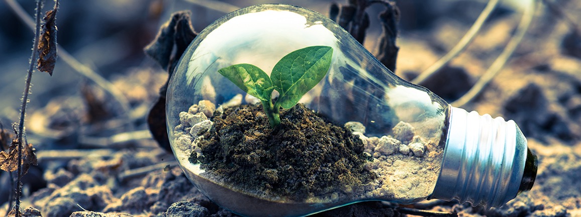 Jackrabbit Homes Inc