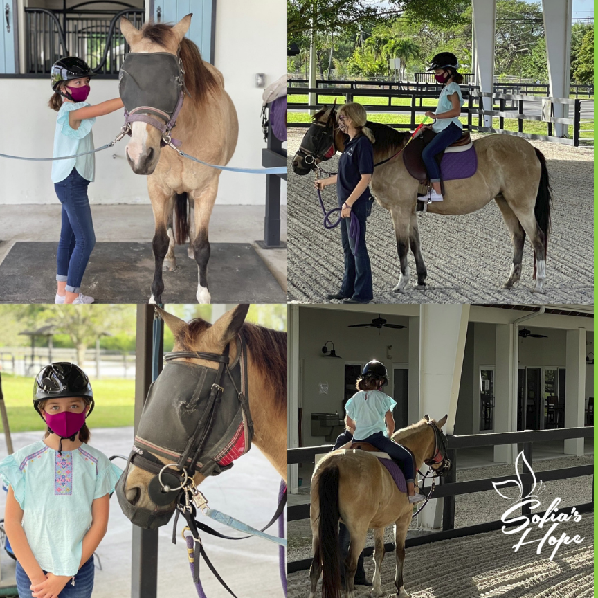 Photo 10 from SOFIAS HOPE