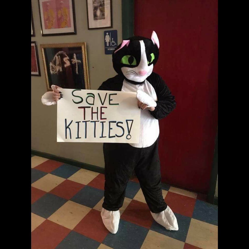 Photo 2 from ASHEVILLE CAT WEIRDOS EMERGENCY FUND