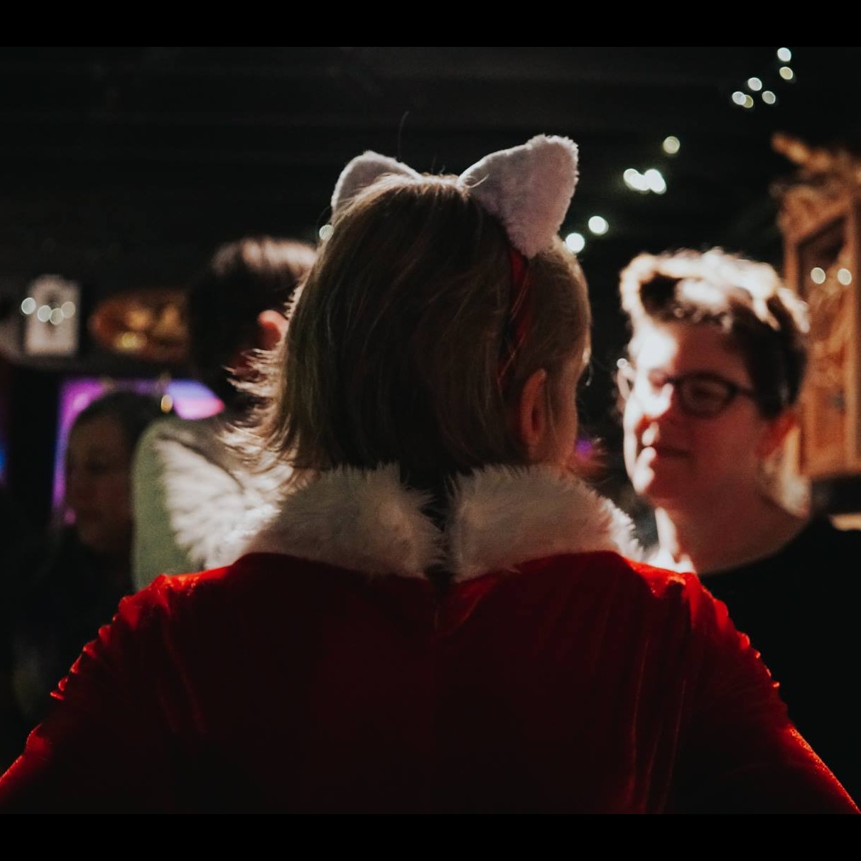 Photo 4 from ASHEVILLE CAT WEIRDOS EMERGENCY FUND