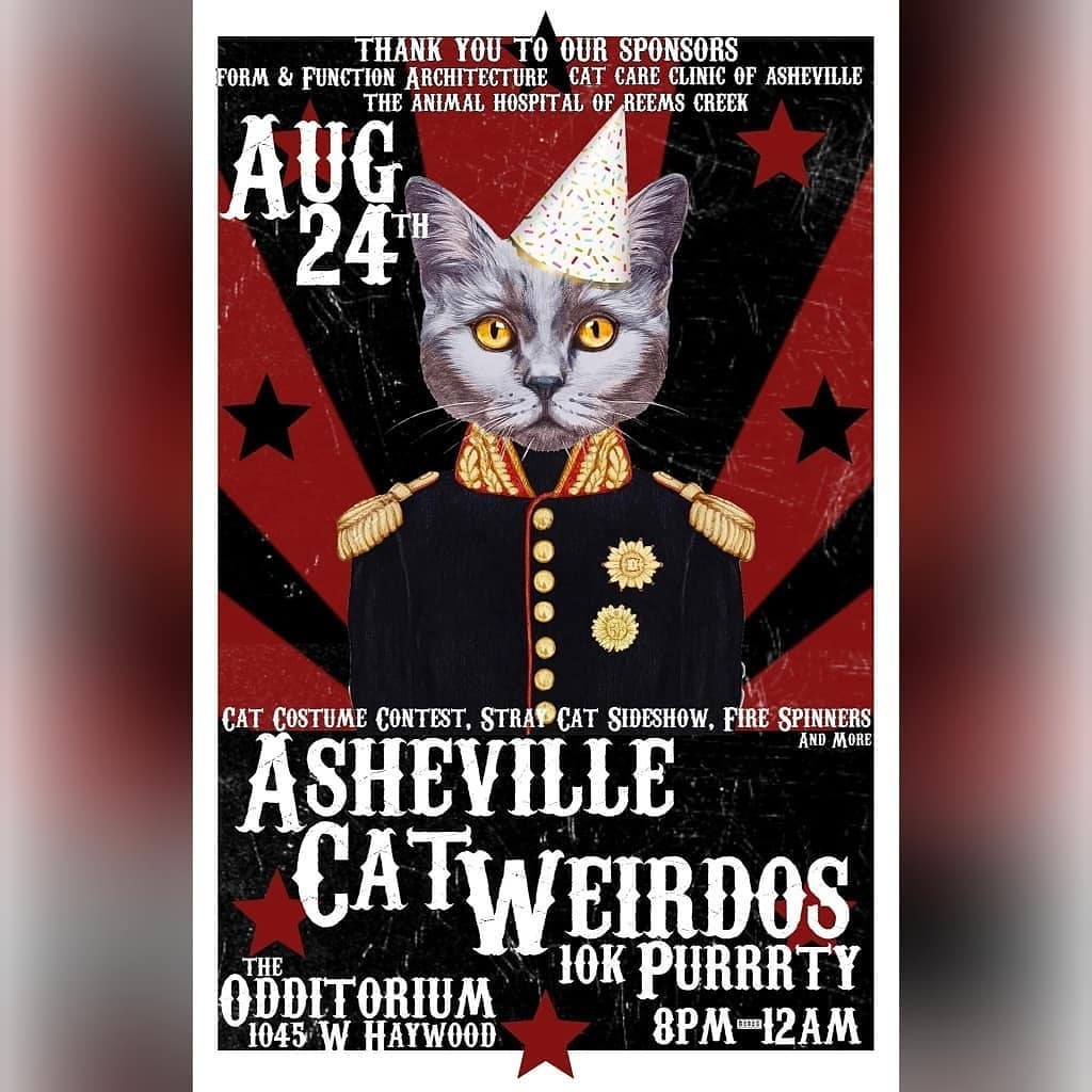 Photo 6 from ASHEVILLE CAT WEIRDOS EMERGENCY FUND