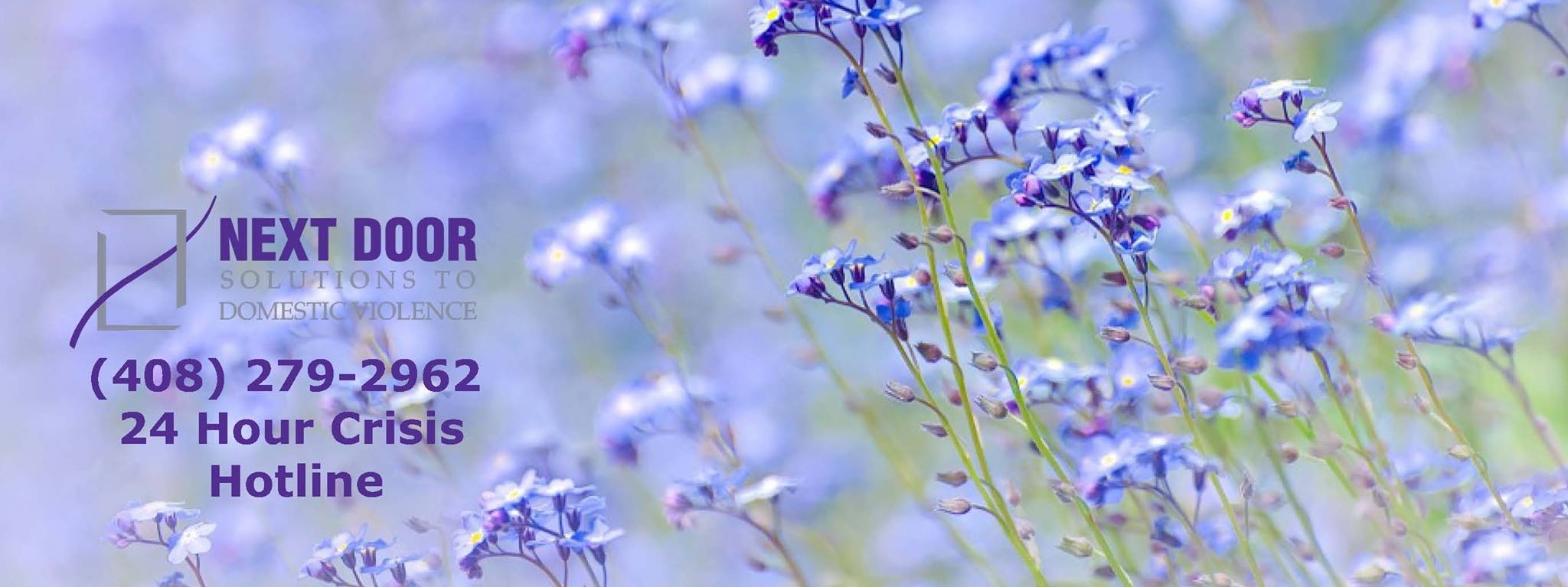 Next Door Solutions to Domestic Violence