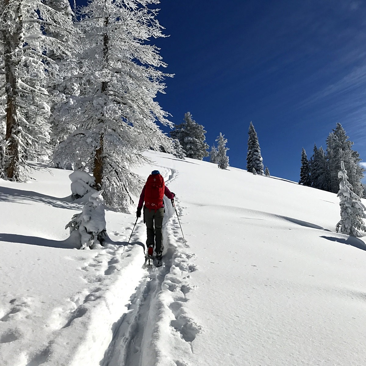 Photo 12 from Redside Foundation Inc