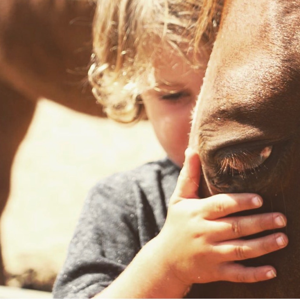 Now I See A Person Institute Corporation