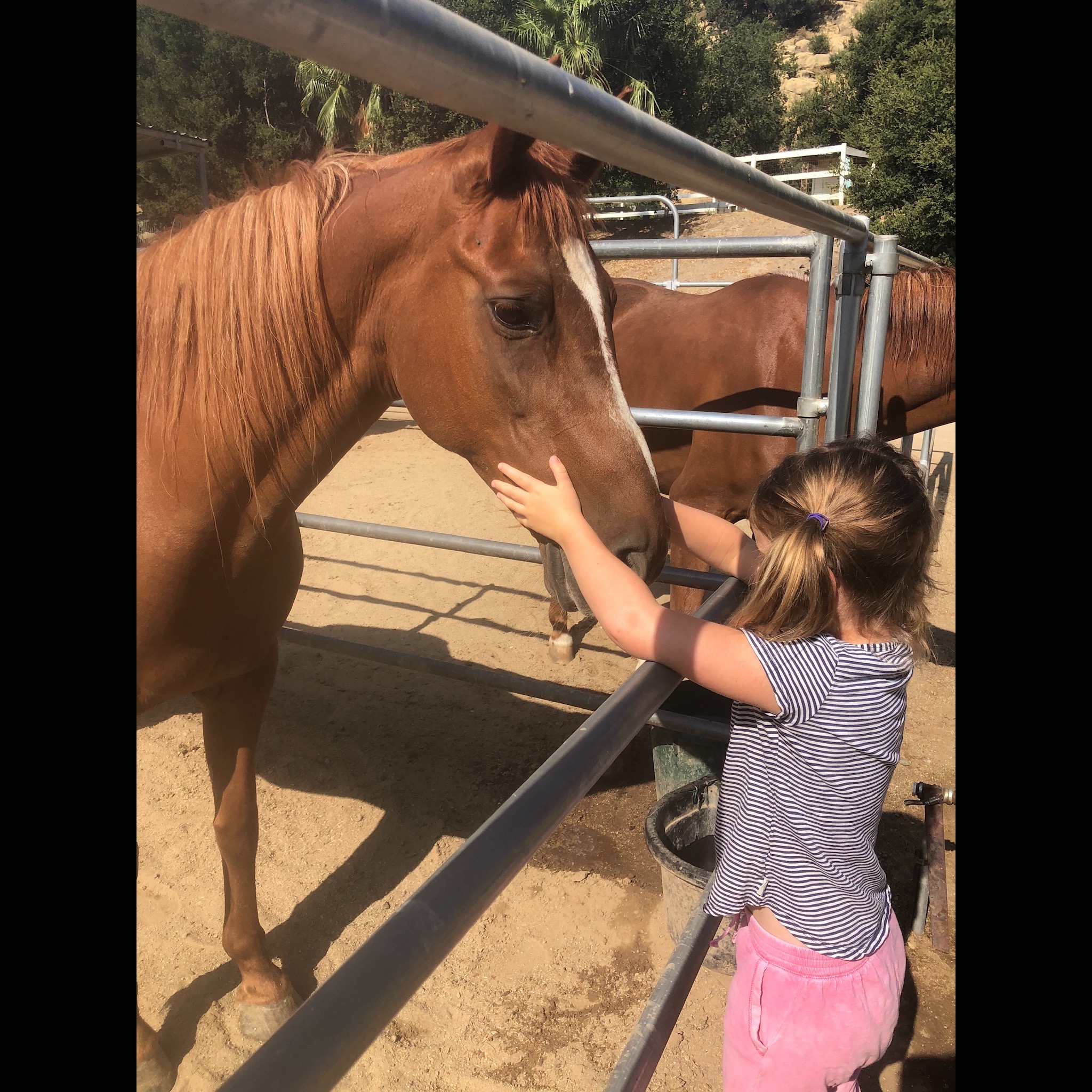 Photo 3 from Now I See A Person Institute Corporation