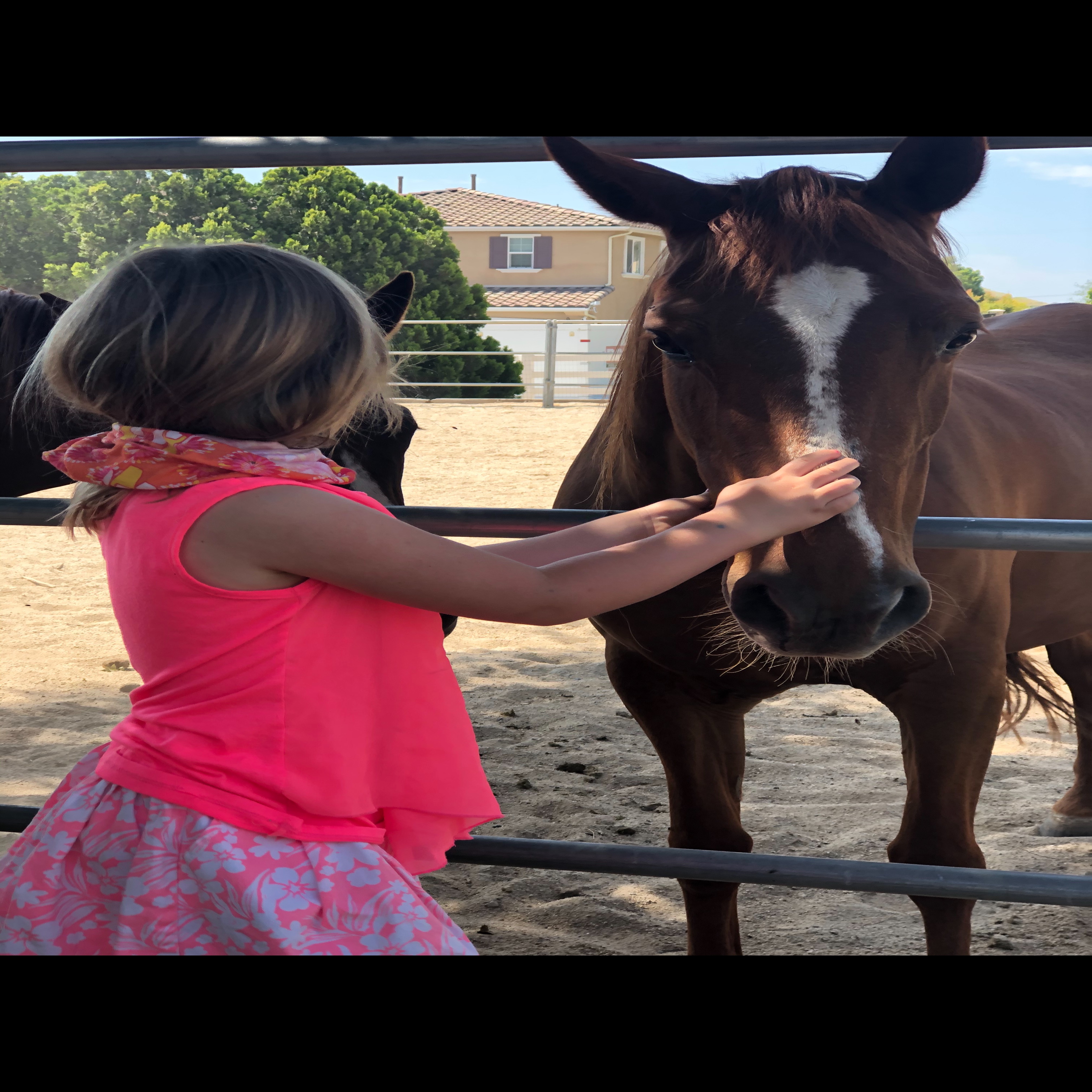 Photo 6 from Now I See A Person Institute Corporation