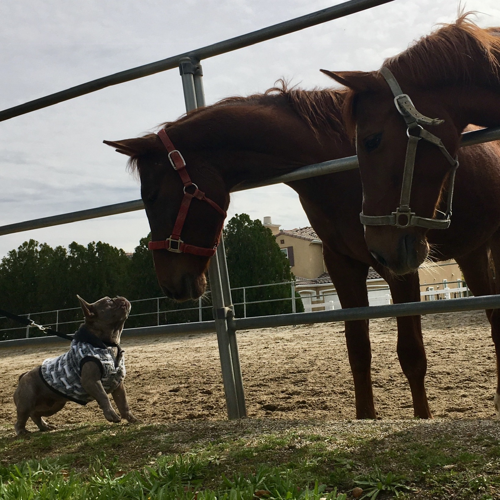 Photo 10 from Now I See A Person Institute Corporation