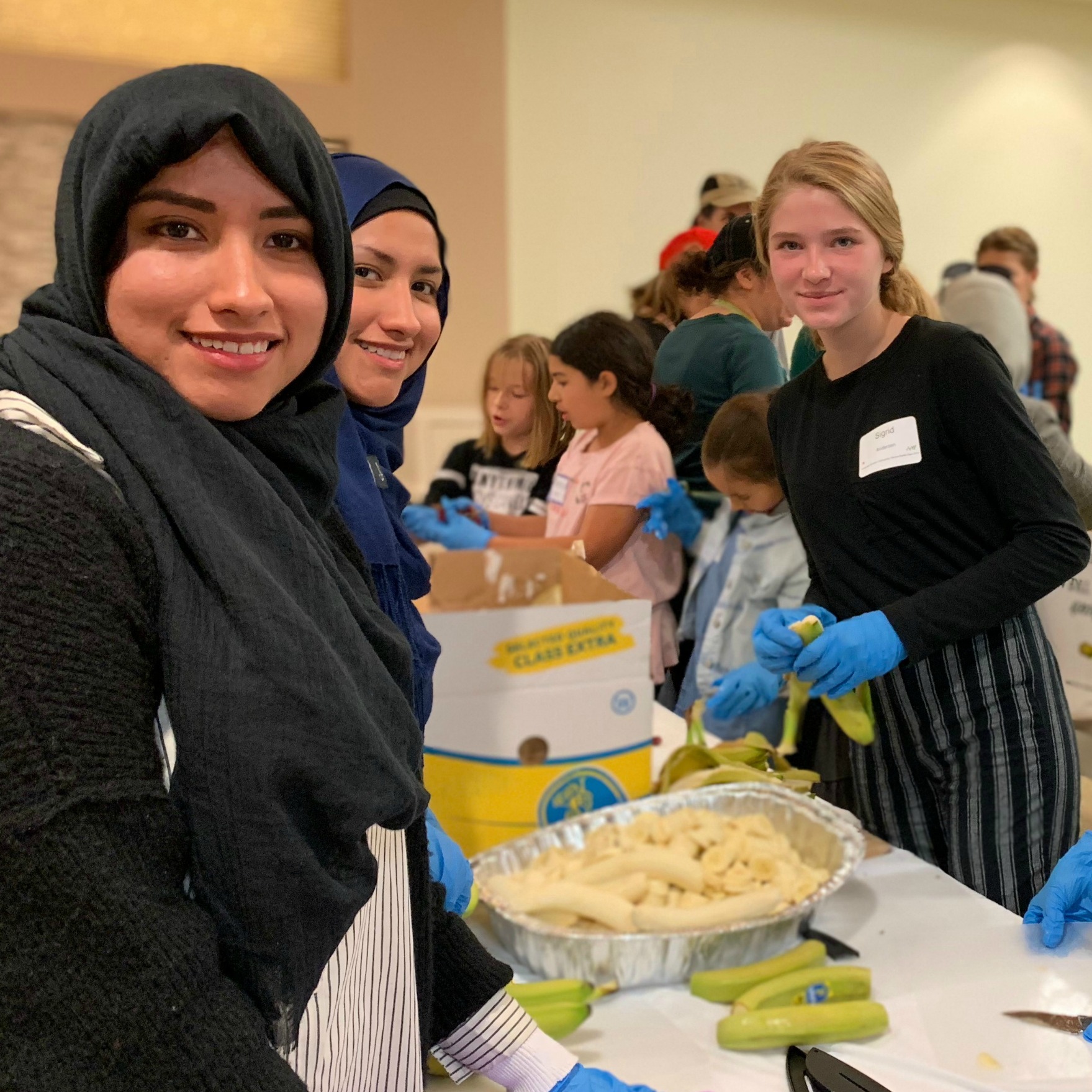 Photo 2 from ABRAHAMIC ALLIANCE INTERNATIONAL INC