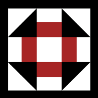 Southern Vision Alliance