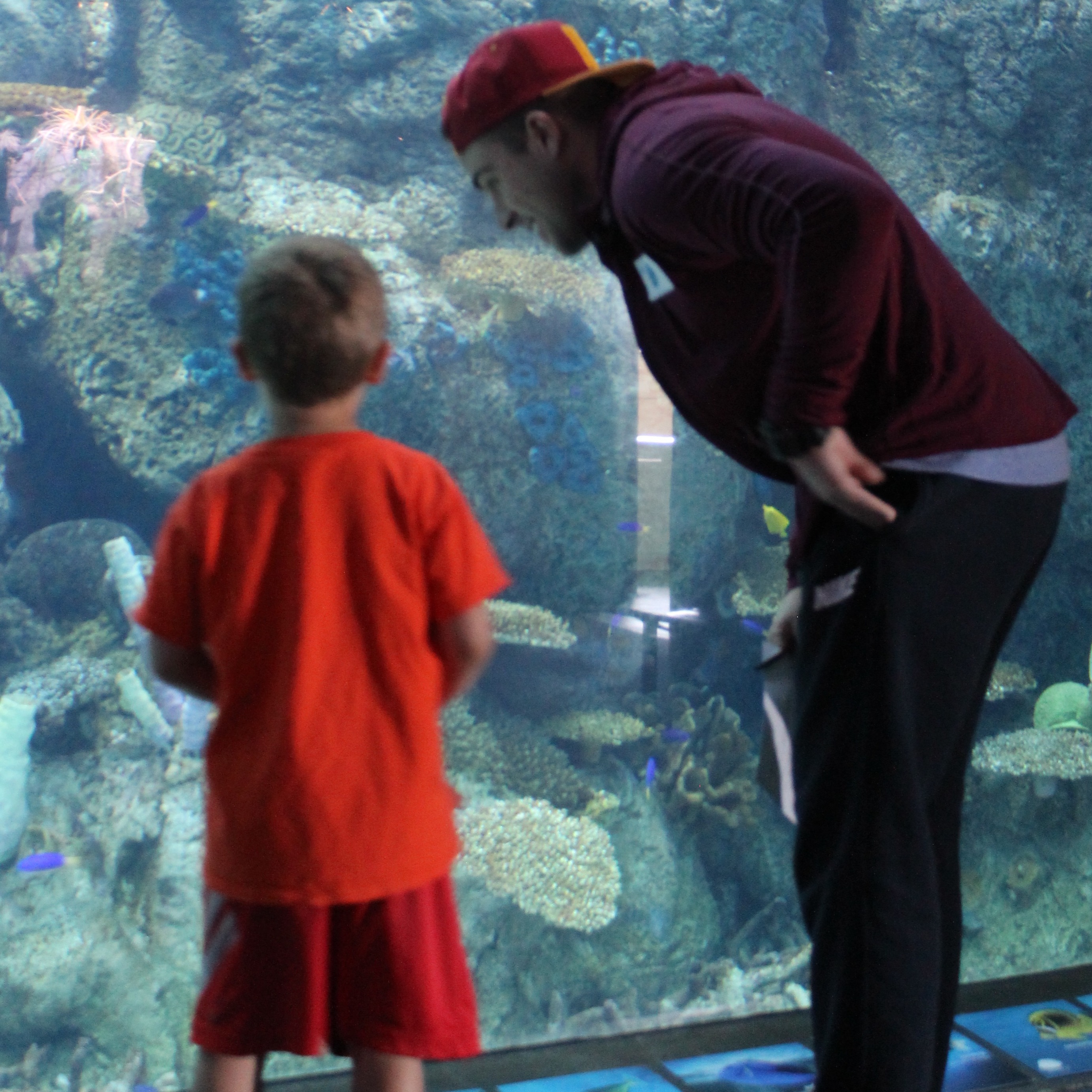 Photo 4 from Walk With Sally