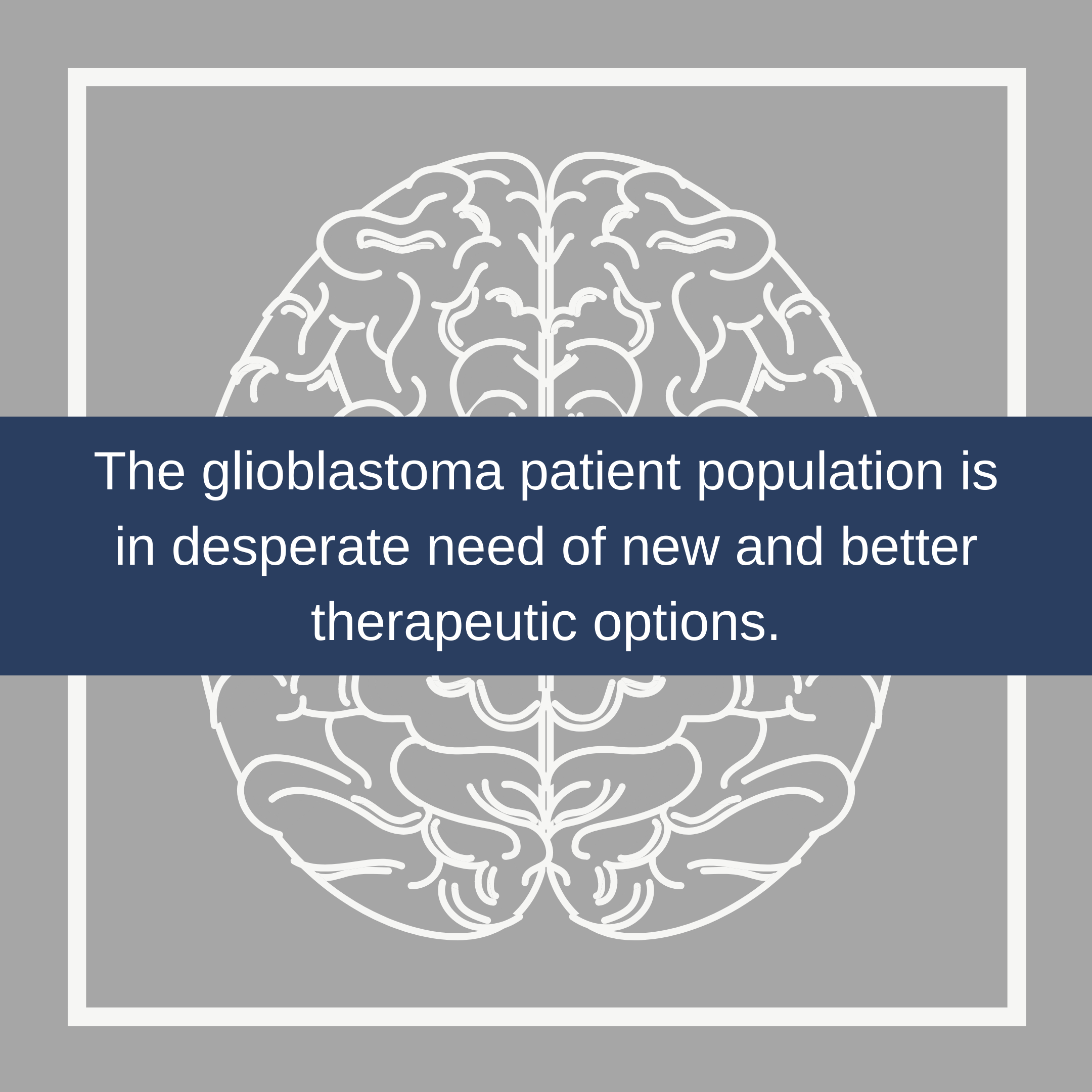 Photo 5 from The Broach Foundation for Brain Cancer Research